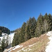 schräg aufwärts, nur kurz geht es mal in den Wald