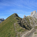 Am Zimbajoch