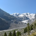Morterasch-gletscher met o.a. Piz Palu en Piz Bernina