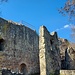 Ruine Homburg