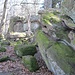 Die Bildsteine sind kleine bis mittelgroße meist würfelförmige Felsen.