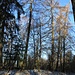 Heidenholz, Gipfel