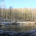 Kleiner Teich in der Quellmulde des Wingendorfer Baches