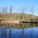 Teich in der Quellmulde des Wingendorfer Baches