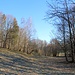 Tal des des Wingendorfer Baches