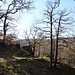 Pfad durch die Herbergsleite