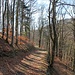 Weg durch die Herbergsleite
