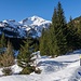 Blick auf den Hohenwart