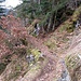 Seilversicherter Abschnitt auf dem Felsenweg