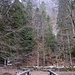 Blick vom Steg an der Muckenlochhütte zum [https://www.hikr.org/dir/Rappenfelsen_99744/ Rappenfels]. 