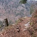 Fotohalt am Felsenweg hoch über dem Schwarzatal.