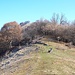 <b>Raggiunto il panoramico crinale, monto in sella e mi dirigo verso il Dosso d’Arla (1170 m), </b>