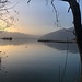 letzter Blick Richtung See an der Mündung des Ticino 
