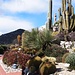 Botanischer Garten Èze