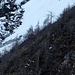 Il canalone