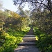 Treppe zum Mont Alban