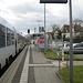 Start am Bahnhof Mußbach.