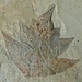 Die Fossilienausstellung der Grundschule zeigt diverse gut erhaltene Ausstellungsstücke. Hier sieht man das versteinerte Blatt einer Elsbeere.