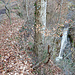 Direkt oberhalb vom Stäubligbach Wasserfall, findet man dem Wanderweg entlang einen zweiten Wasserfall. 