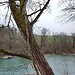 Ar Aare
