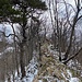 Auf dem schönen Grätlein gegen Punkt 770m.<br /><br /><br />