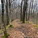 Jenseits des Burggrabens führt ein Weglein über den Gratrücken gegen Osten hinunter. Kurz vor dem Wanderweg wird dieses recht steil.<br /><br /><br />
