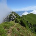 die heutige Herausforderung: nahe am oder auf dem Grat zum Westgipfel Möntschelespitz
