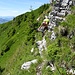 hoch überm BWW ...