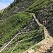 gesicherte Passage unterhalb des Birespitz'