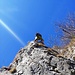 placchetta aerea (L8 della relazione)