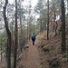 scm im Naturpark Pfyn-Finges