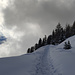 Bei der Bisse