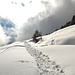 Bei der Bisse