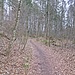 Auf deutlichem Weg geht es zum Isarwehr Baierbrunn.