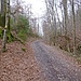 Der Weg führt etwas abseits der Isar durch das Tal.