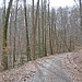Im zeitigen Frühjahr bekommt der Boden noch etwas Licht ab.