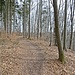 Oberhalb der Geländekante wandert man wieder zurück.