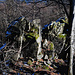 Zackige Felsen am Hirschenstein