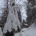 Hexenhäuschen im Broggenwald