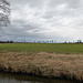 Am Feldgrießgraben