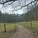 Hinein in das Vergnügen. Hier teilt sich der Weg zur Ruine Alt Bodman oder zum Kloster Frauenberg