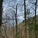 Die Sicht auf den See ist jahreszeitlich bedingt begünstigt