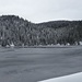 Lac vert 