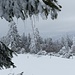 on se croirait en plein hiver !