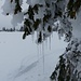 Froid et bonne neige poudreuse .