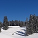 Alphütte von Rinderweid