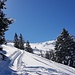 Aufstieg in der Frühlingssonne