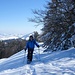 Hochhammgipfelchen erreicht bei angenehmer Temperatur