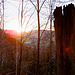 Sonnenuntergangsstimmung im Aufstieg zum Sonnenberg.