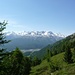 Kurz unterhalb der Waldgrenze: Blick Richtung Celerina